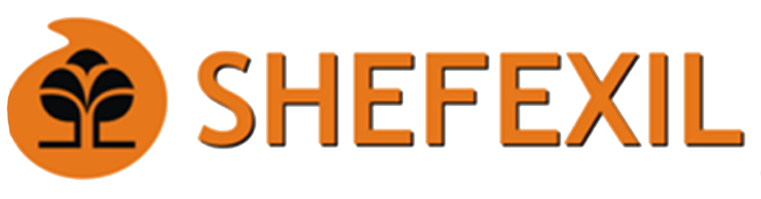 SHEFEXIL